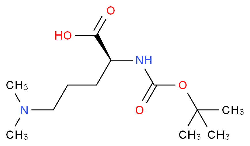 (S)-2-[(tert-butoxycarbonyl)amino]-5-(dimethylamino)pentanoic acid_Molecular_structure_CAS_65671-54-7)