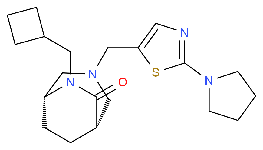 (1S*,5R*)-6-(cyclobutylmethyl)-3-[(2-pyrrolidin-1-yl-1,3-thiazol-5-yl)methyl]-3,6-diazabicyclo[3.2.2]nonan-7-one_Molecular_structure_CAS_)
