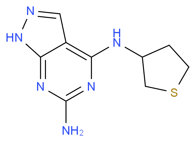 N~4~-(tetrahydro-3-thienyl)-1H-pyrazolo[3,4-d]pyrimidine-4,6-diamine_Molecular_structure_CAS_)