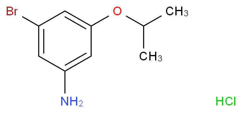 3-bromo-5-(propan-2-yloxy)aniline hydrochloride_Molecular_structure_CAS_)