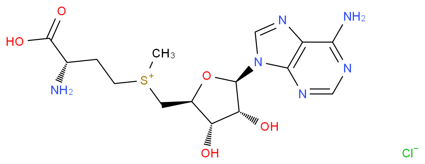 S-(5′-Adenosyl)-L-methionine chloride dihydrochloride_Molecular_structure_CAS_86867-01-8)