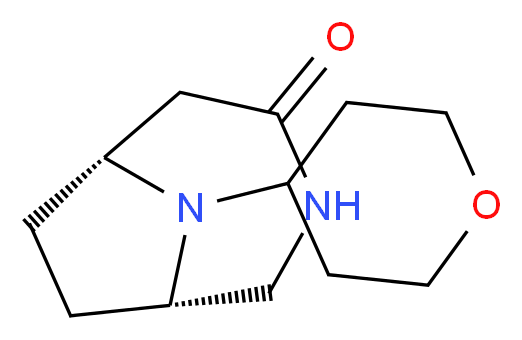 (1S*,6R*)-9-(tetrahydro-2H-pyran-4-yl)-3,9-diazabicyclo[4.2.1]nonan-4-one_Molecular_structure_CAS_)