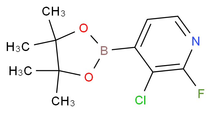 3-Chloro-2-fluoropyridine-4-boronic acid pinacol ester_Molecular_structure_CAS_1073353-71-5)