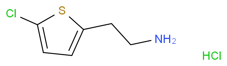 2-(5-chlorothiophen-2-yl)ethan-1-amine hydrochloride_Molecular_structure_CAS_548772-42-5)