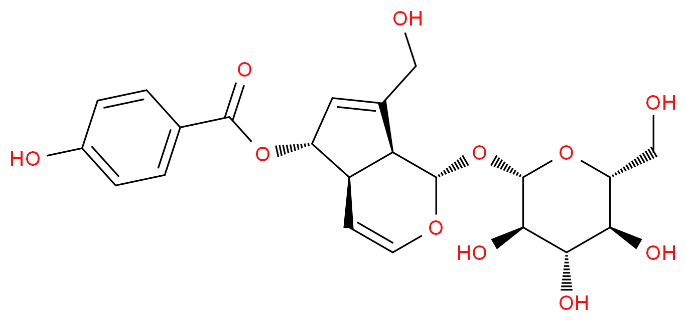 6-O-p-Hydroxybenzoylaucubin_Molecular_structure_CAS_1016987-87-3)