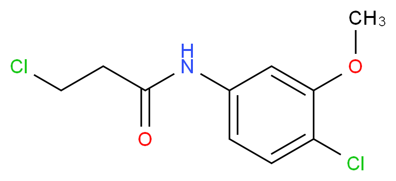 3-chloro-N-(4-chloro-3-methoxyphenyl)propanamide_Molecular_structure_CAS_915920-71-7)