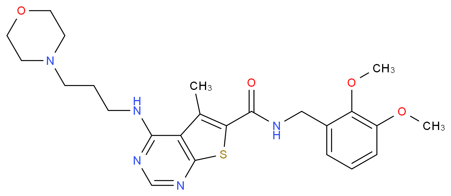 N-(2,3-dimethoxybenzyl)-5-methyl-4-{[3-(4-morpholinyl)propyl]amino}thieno[2,3-d]pyrimidine-6-carboxamide_Molecular_structure_CAS_)