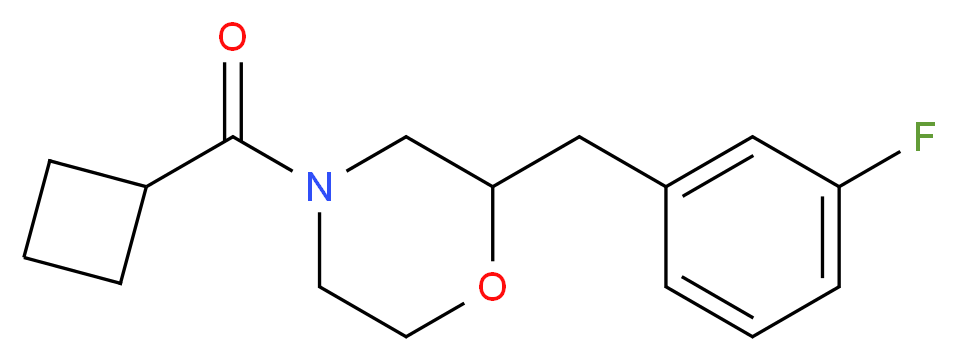 4-(cyclobutylcarbonyl)-2-(3-fluorobenzyl)morpholine_Molecular_structure_CAS_)