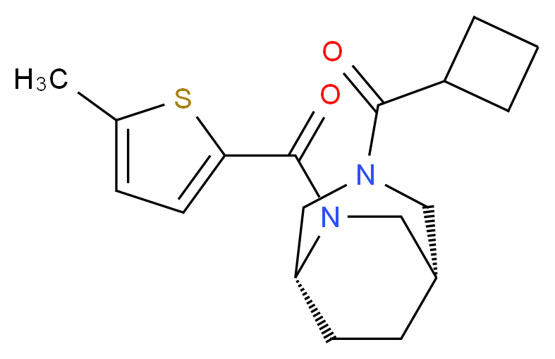 (1S*,5R*)-3-(cyclobutylcarbonyl)-6-[(5-methyl-2-thienyl)carbonyl]-3,6-diazabicyclo[3.2.2]nonane_Molecular_structure_CAS_)
