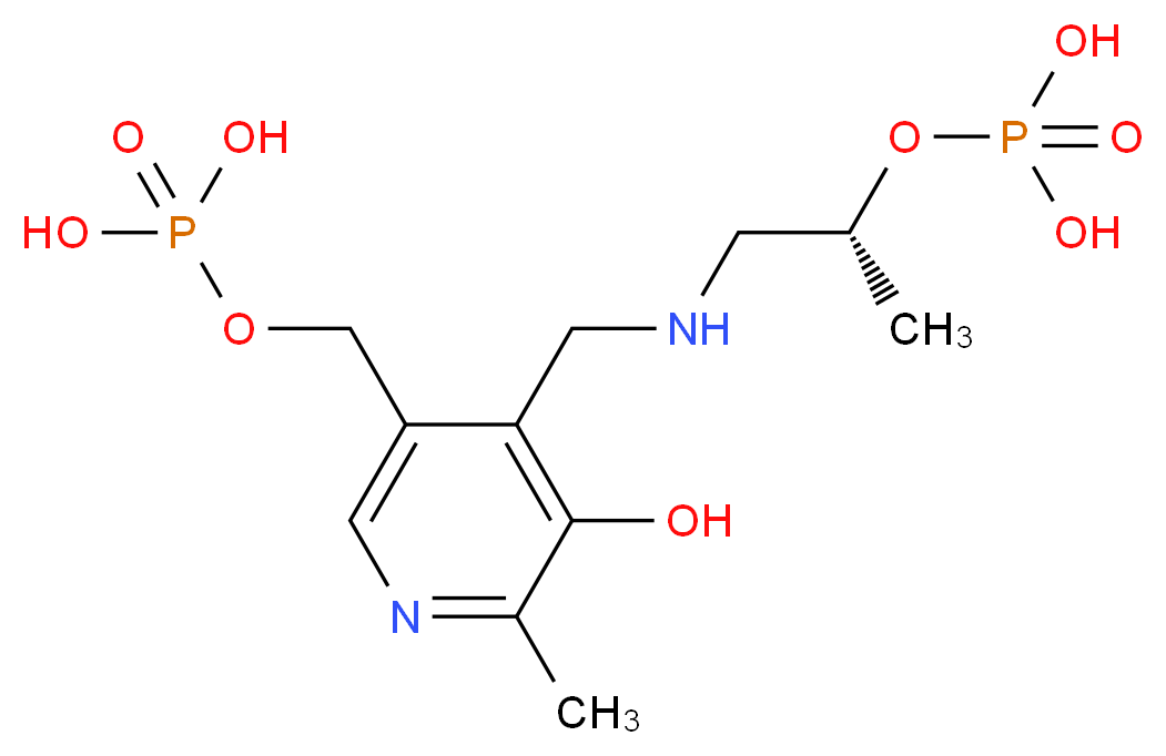 {3-[(3-Hydroxy-2-Methyl-5-Phosphonooxymethyl-Pyridin-4-Ylmethyl)-Amino]-2-Methyl-Propyl}-Phosphonic Acid_Molecular_structure_CAS_)