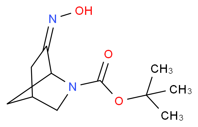 tert-butyl 6-(hydroxyimino)-2-azabicyclo[2.2.1]heptane-2-carboxylate_Molecular_structure_CAS_)