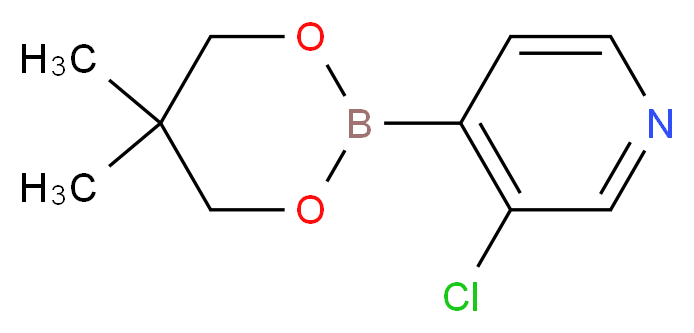 3-Chloro-4-(5,5-dimethyl-1,3,2-dioxaborinan-2-yl)pyridine_Molecular_structure_CAS_)