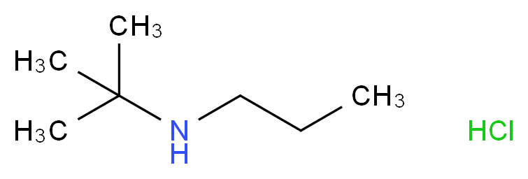 tert-butyl(propyl)amine hydrochloride_Molecular_structure_CAS_)
