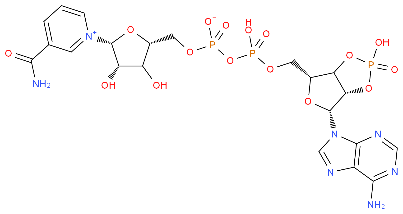 2'3'-Cyclic-NADP_Molecular_structure_CAS_62640-02-2)
