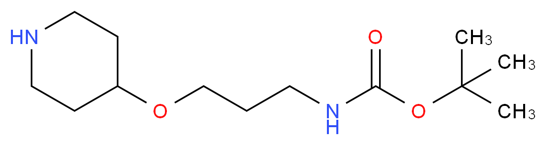 tert-butyl N-[3-(piperidin-4-yloxy)propyl]carbamate_Molecular_structure_CAS_)