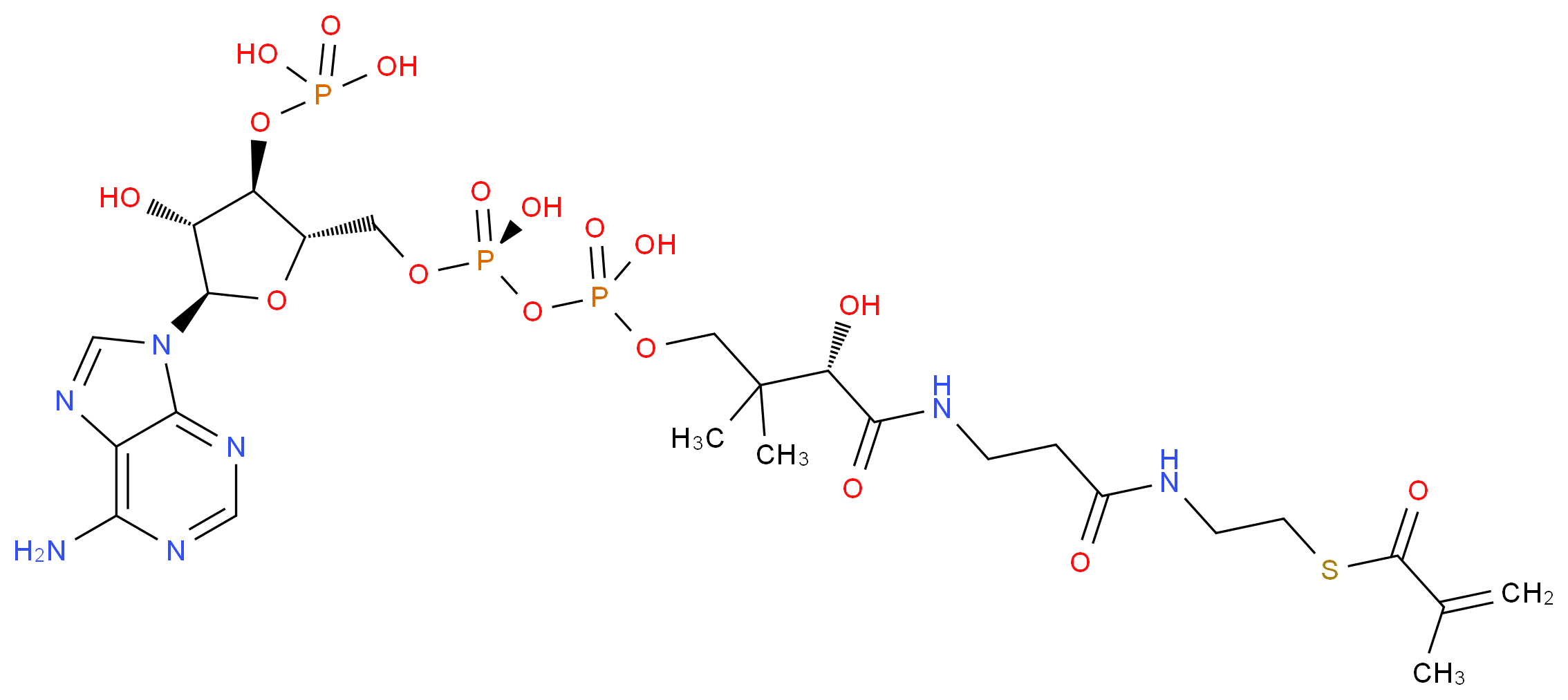 Methacrylyl-Coenzyme A_Molecular_structure_CAS_6008-91-9)