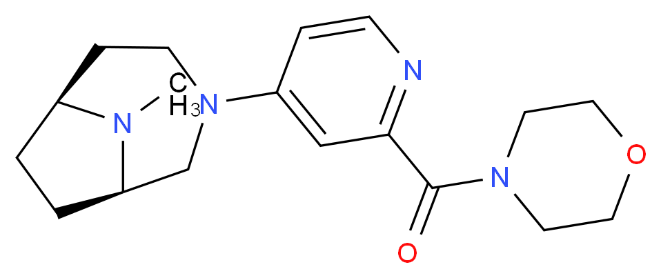 (1R*,6S*)-9-methyl-3-[2-(4-morpholinylcarbonyl)-4-pyridinyl]-3,9-diazabicyclo[4.2.1]nonane_Molecular_structure_CAS_)